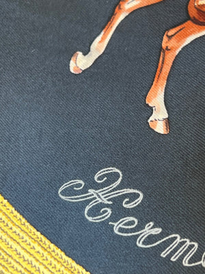 HERMES carré de soie « Pampa » — vue 2 | Le comptoir vintage